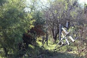 Matlapa Lodge - Image 3