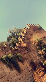 Riad Boujloud - Image 5