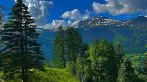 Romantisches PlÄtzchen In Der Natur - Image 2