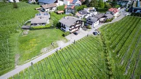 Steinach Dodici 12 - Image 3