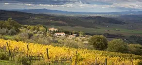 Villa Gaia - Image 4