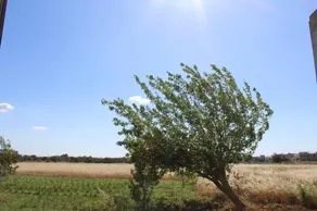 Il Giardino Di Alba - Image 4