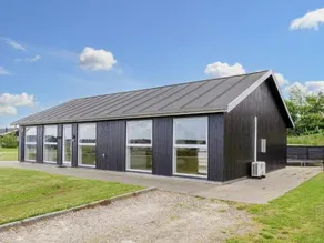 5 Sterne Ferienhaus in Løkken - Image 3