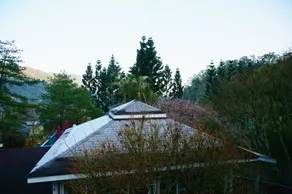 Li Jing Guan Coffee Homestay - Image 4