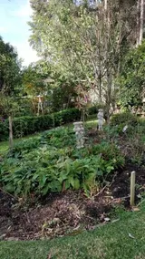 Laurel House - Image 2
