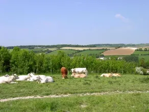 Gite La Bulle Enchantee - Image 5