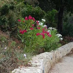 Villa VaKo - Image 2