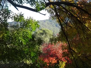 Yarra Ranges Country Apartment - Image 5
