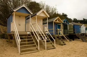 Plover 11 - Image 4