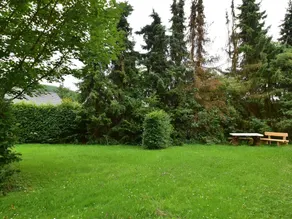 Spacious Holiday Home in Menkhausen Near Ski Area - Image 2