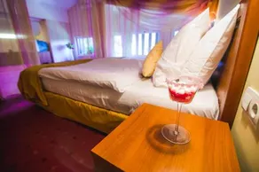 SPA Hotel Borova Gora - Image 4