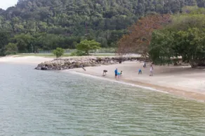 Casuarina @ Pangkor - Image 5