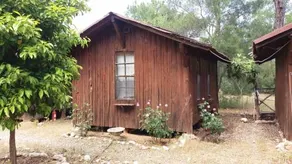 Jungle Bells Hostel - Image 3