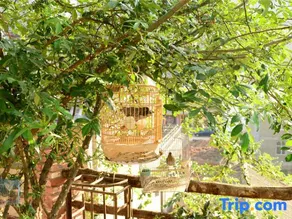 Yilv Yangguang Hotel - Image 5