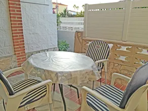 Mimosa - Image 5