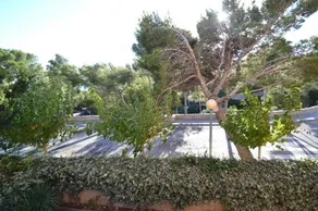 Wvp Kursal 2 - Image 3