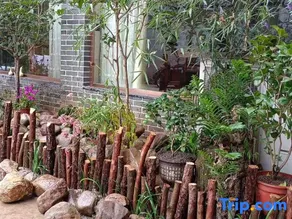 Longquan Hotel and Homestay - Image 3
