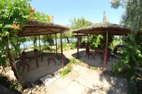 Complex Amazon - Image 5