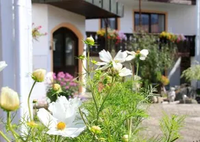 Hotel Alpenblick Berghof - Image 5
