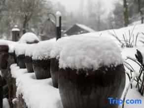 Mogan Lansu Holiday Hotel - Image 4