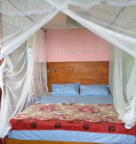 AURORA VILLA - Image 4