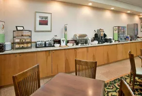 Country Inn & Suites by Radisson Birch Run Frankenmuth MI - Image 4