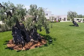 Masseria Il Frantoio by Raro Villas - Image 2