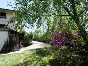 Cozy Holiday Home in Tuscany With Private Garden - Image 5