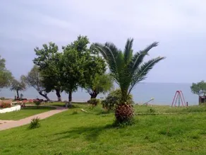 Petalidi - Image 4