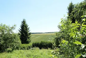 Apartments Laichingen Suppingen - Image 4