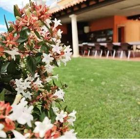 Casas Rurales La Ermita y El Cerro - Image 2