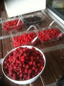 Pennyroyal Raspberry Farm & Cidery - Image 3