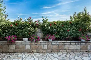 Villa Alissa Split - Mravince - Image 4
