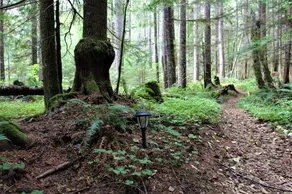 Chalet at Mt Rainier - Image 3