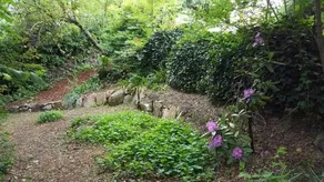 Mulberry Cottage Beechworth - Image 2