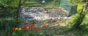 Vila Jenny - Image 3