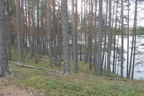 Petkeljärvi Center - Image 4