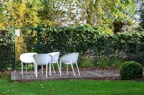B&b Spoor62 - Image 3
