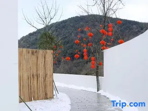NALU RESORT &HOTEL - Image 4