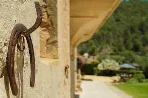 Finca Son Brondo - Image 3