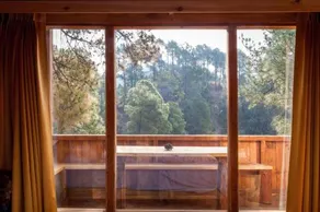 Suro Treehouse Resort - Image 2
