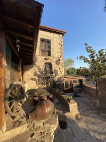 Assos Hayat Agaci - Image 4