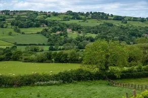 Primrose Cottage - Luxury Cottages - Image 2