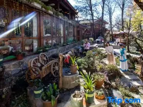 Lijiang Cotton Homestay (Shuhe Ancient Town) - Image 5