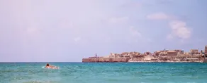 Rimonim Palm Beach Acre - Image 2