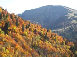 Staufenblick Landhaus - Image 3