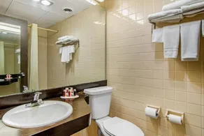 Econo Lodge Forsyth - Image 2