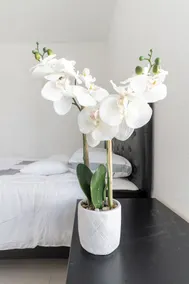 Stylish 4br 2.5ba Haven In Houston 4 Bedroom Home by RedAwning - Image 4