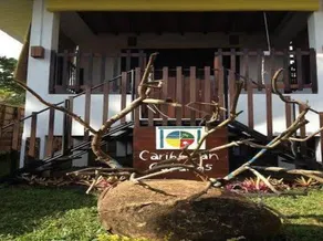 Caribbean Gate - Image 4