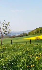 Auberge de Vers-chez-Perrin - Image 2